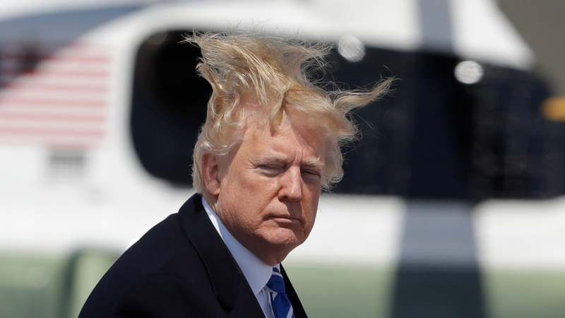 Illustration for article titled Windswept Honey Bun Boards Presidential Aircraft